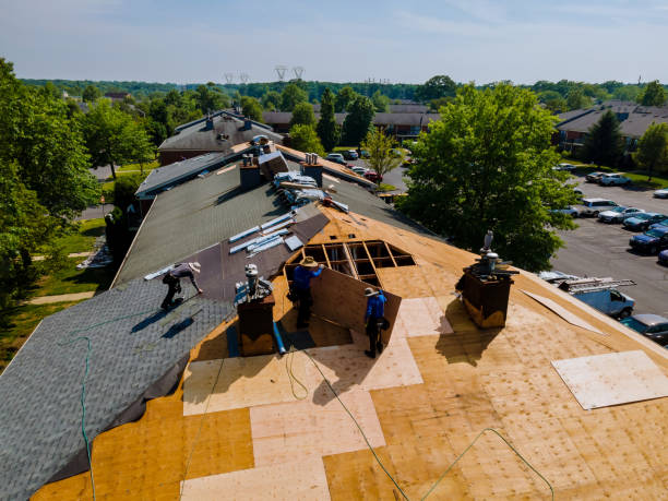 Roof Gutter Cleaning in Sandersville, GA