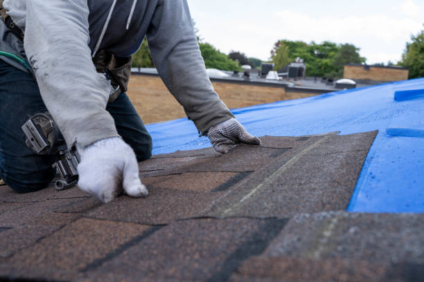 Gutter Installation and Roofing in Sandersville, GA